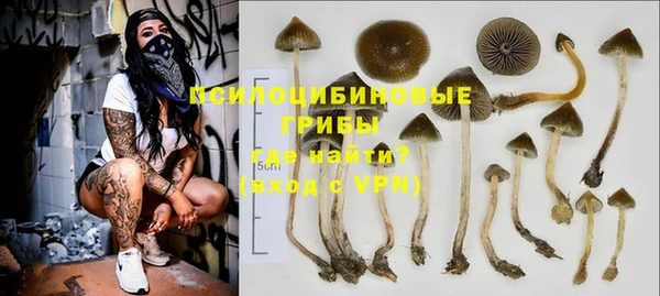 2c-b Куйбышев